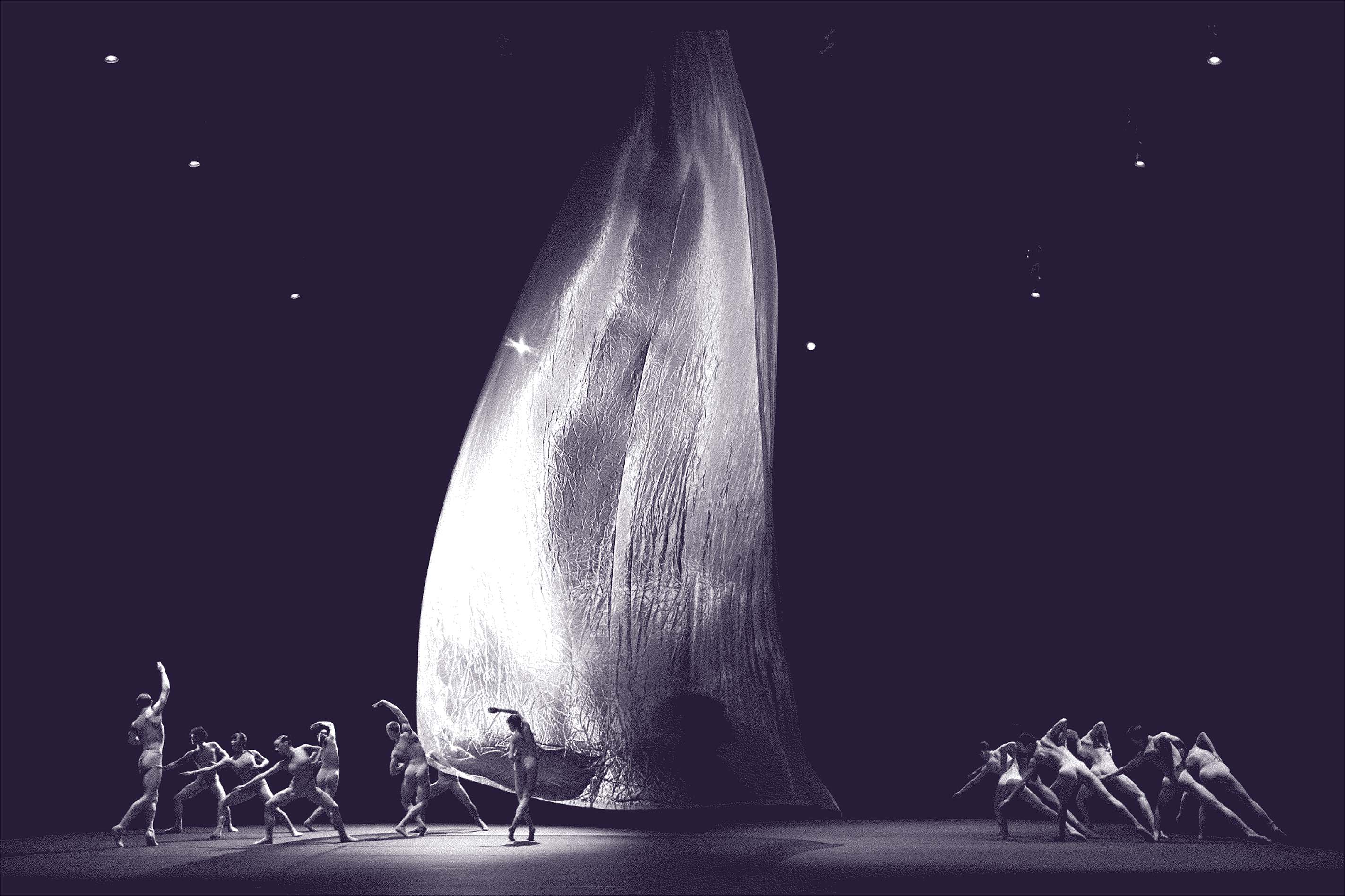 Boris Acket Work, dance large